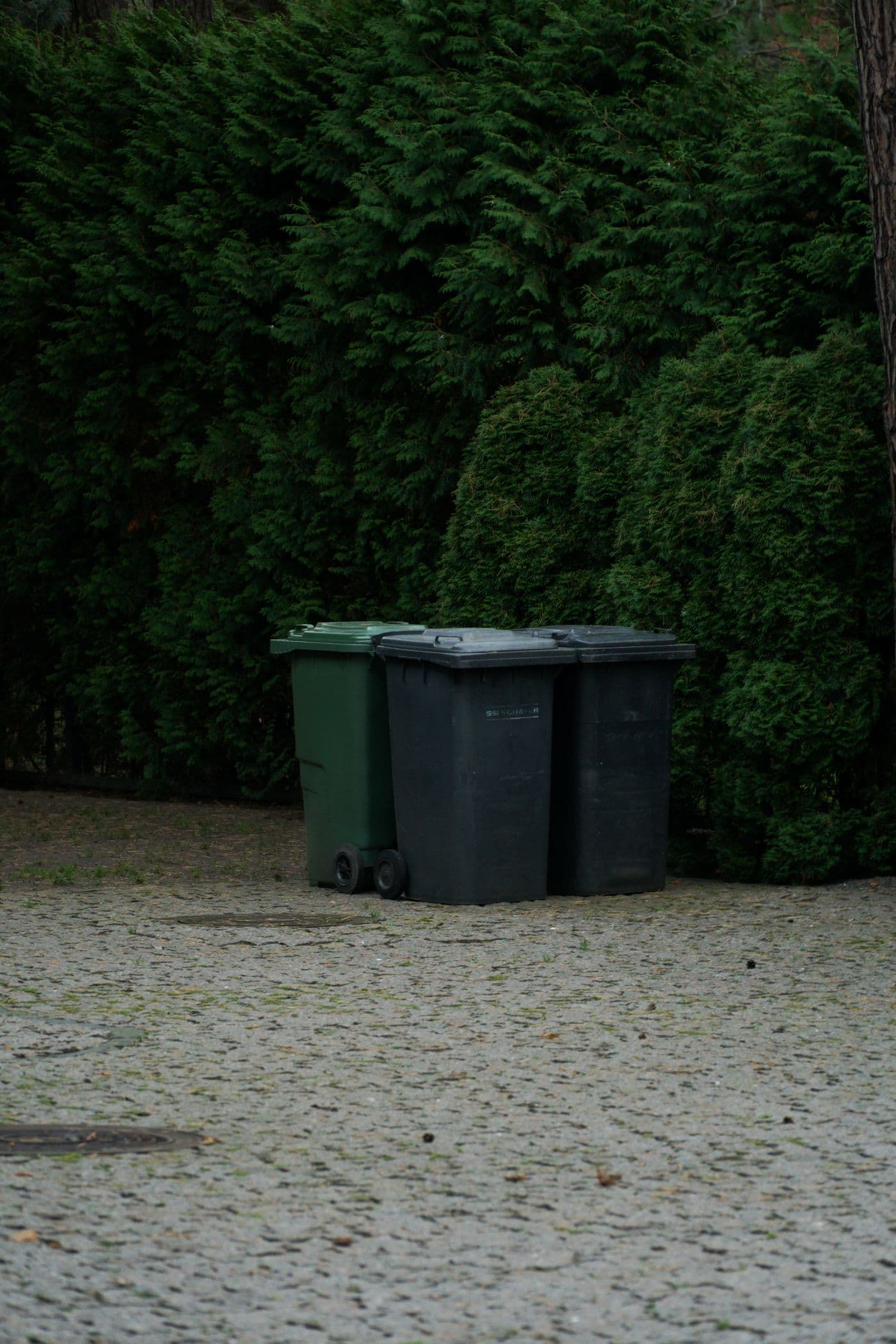 Waste bins beside a green hedge on a paved path